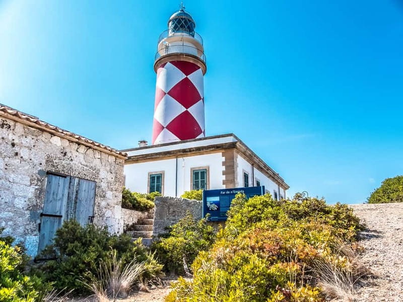 Colonia Sant Jordi: Premium & Fast Boat Tour around Cabrera - The Castle Watchtower and Es Celler Museum: The Cultural Stops That Anchor Your Visit