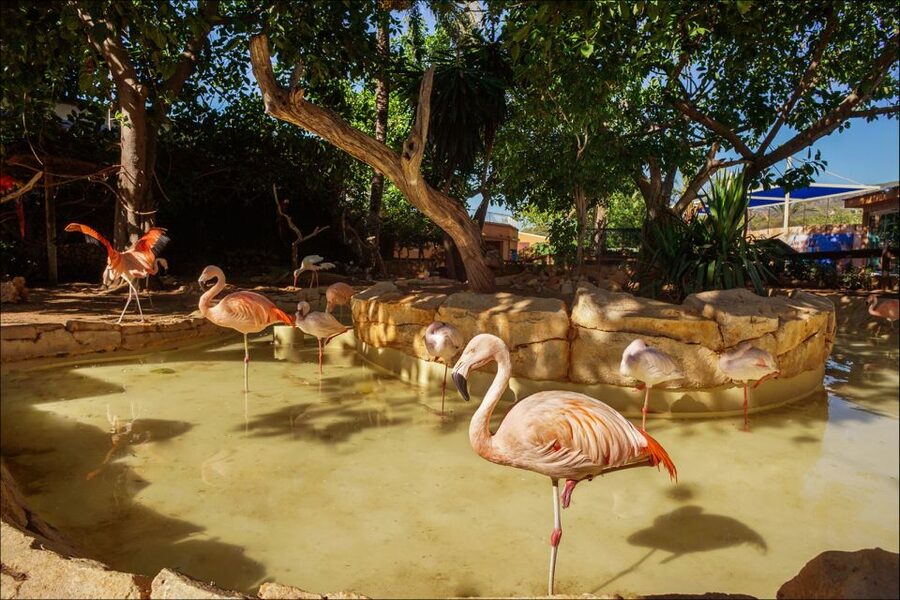 Costa d'en Blanes: Entry Ticket for Marineland Mallorca - Key points to know before you go