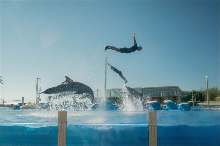 Costa d'en Blanes: Entry Ticket for Marineland Mallorca - Sea lions and birds: the second wave of entertainment