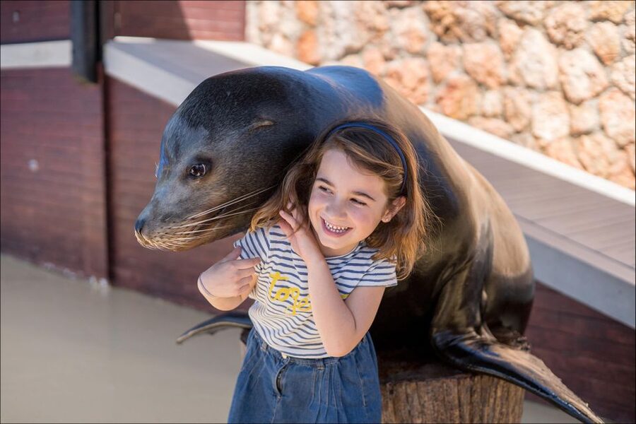 Costa d'en Blanes: Entry Ticket for Marineland Mallorca - Aquariums: sharks and tropical fish in fresh and saltwater