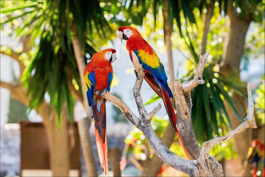 Costa d'en Blanes: Entry Ticket for Marineland Mallorca - Food, drinks, and the reality of spending extra
