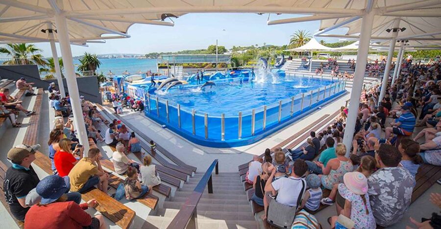 Costa d'en Blanes: Entry Ticket for Marineland Mallorca - Price and logistics: getting there from Costa d’en Blanes