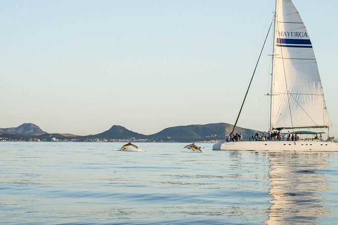 Day Catamaran Trip: Cap des Freus and Llevant Natural Park - Timing, group size, and the vibe on a 4-hour loop