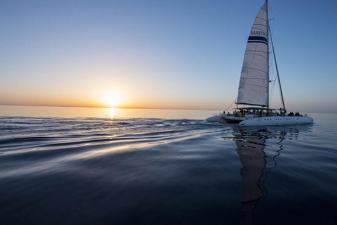 Day Catamaran Trip: Cap des Freus and Llevant Natural Park - Value for $90.82: what you’re actually buying