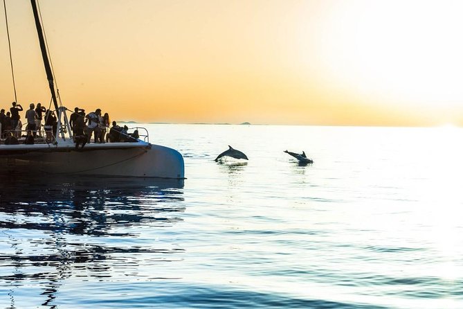 Day Catamaran Trip: Cap des Freus and Llevant Natural Park - Who should book this catamaran trip (and who should think twice)