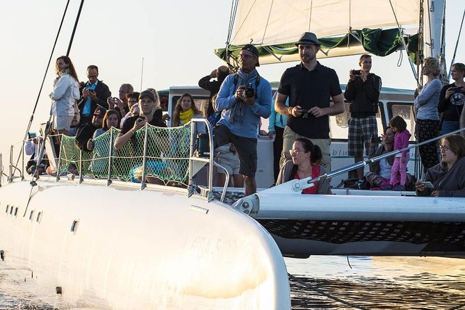 Day Catamaran Trip: Cap des Freus and Llevant Natural Park - Practical packing list for Cap de Freu and Llevant days