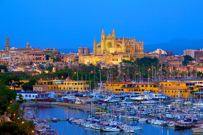 Discover the major cultural attractions of Palma De Mallorca on a Private Tour - Palma de Mallorca, in one efficient private route