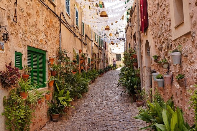 Discover the major cultural attractions of Palma De Mallorca on a Private Tour - Who this tour fits best