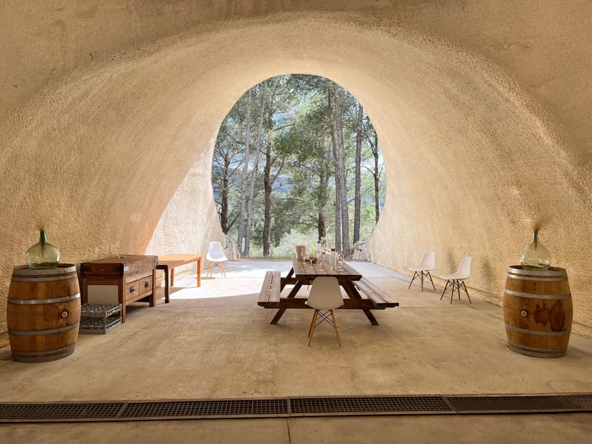Discover the treasures of the Mallorca wine on a top winery - Should you book Discover the Mallorca wine treasures at Bodega Son Juliana?