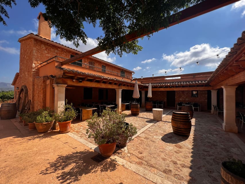 Discover the treasures of the Mallorca wine on a top winery - Who should book (and who should skip it)