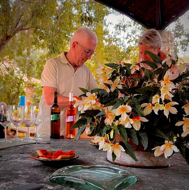 Discover the treasures of the Mallorca wine on a top winery - Quick guide to expectations before you go