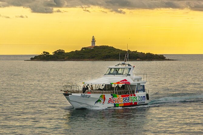 Dolphin Adventure: Fast Boat Dolphin Watching in Mallorca - Out to the Dolphins: The 45–60 Minute Search Phase