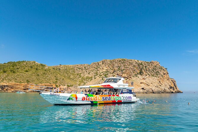 Dolphin Adventure: Fast Boat Dolphin Watching in Mallorca - Stop and Sea Details: What the Day’s Structure Means