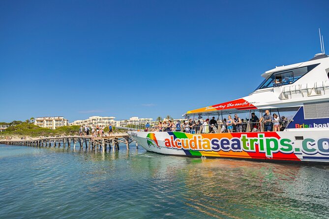 Dolphin Adventure: Fast Boat Dolphin Watching in Mallorca - The Swim Stop Reality: Plan for Closer to 4 Hours
