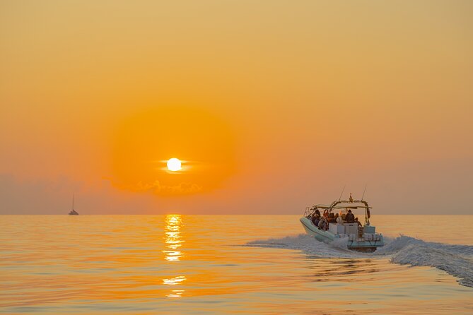 Dolphin watching by boat - Stop at Cap de Formentor: How You’ll Watch Dolphins Without Losing the Moment