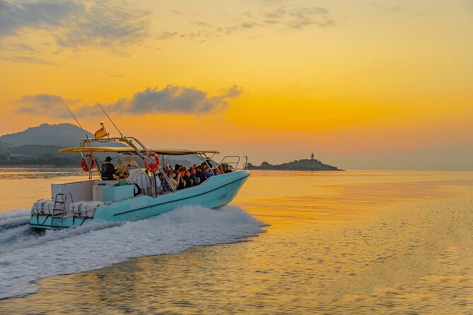 Dolphin watching by boat - Should You Book This My Sea Experience Dolphin Tour from Alcúdia?
