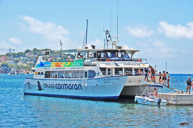 Dolphin Watching in Mallorca (Paguera) - Meeting point at Bar Torà and departure timing
