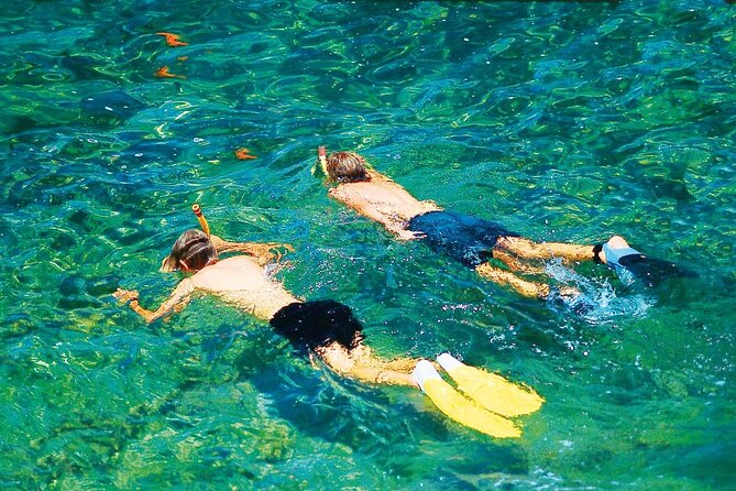 Dolphin Watching in Mallorca (Paguera) - Camp de Mar swim stop: a shorter pause in a well-known bay