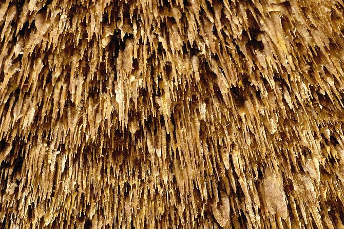Drach Caves and Pearl Shop Mallorca Half Day Tour - Price and value: what $66.16 covers (and what to budget)