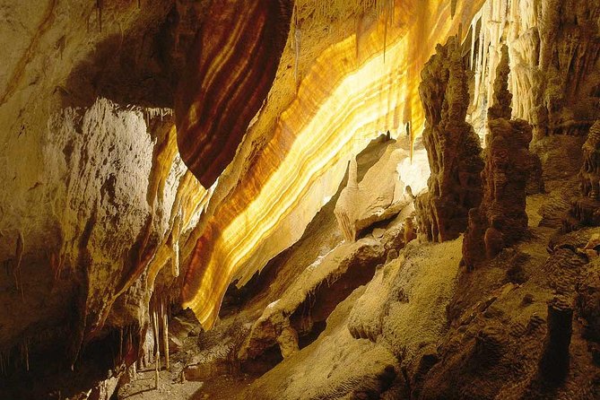 Drach Caves and Pearl Shop Mallorca Half Day Tour - Majorica pearl shop stop: what 40 minutes buys you