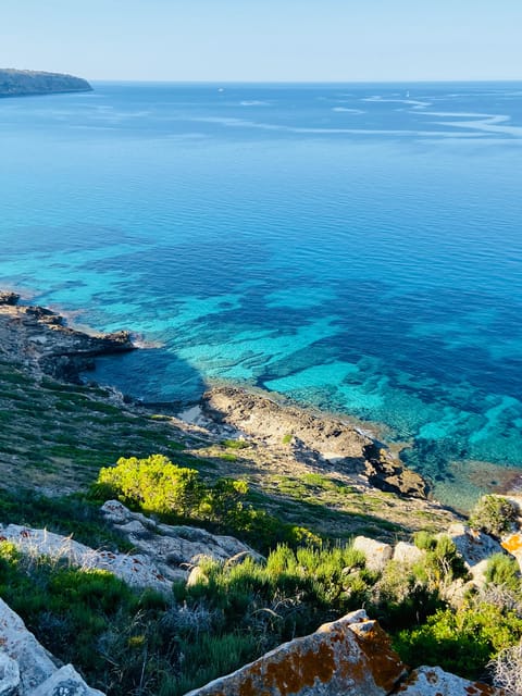 El Arenal: Private Mallorca Boat Rental (No License Needed) - Snorkeling Gear and Marine Life Time: What to Expect (and What to Bring)
