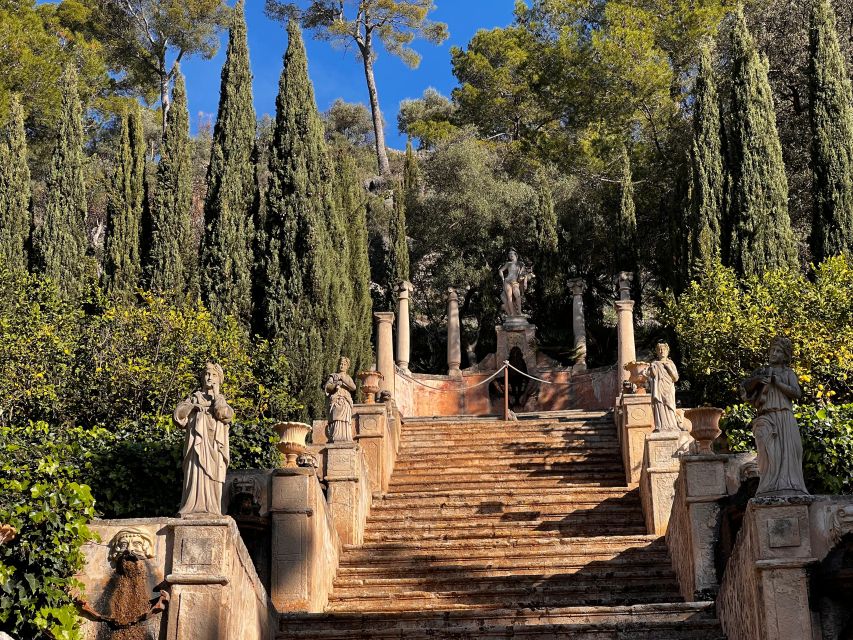 Embrace the enchantment of Mallorca's almond blossom season - Key tour takeaways
