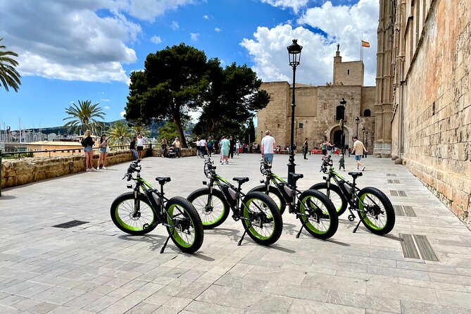 Exclusive Fat Tire E-Bike Tour in Palma - Cathedral of Light + Palau de l’Almudaina: the big monuments you’ll remember
