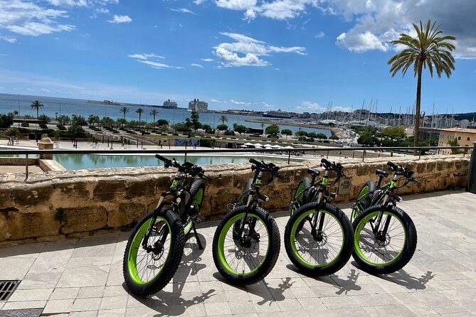 Exclusive Fat Tire E-Bike Tour in Palma - Where it starts and how to not lose time before you ride