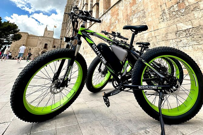 Exclusive Fat Tire E-Bike Tour in Palma - Portixol to El Molinar: fishing-harbor charm, then a long beach run