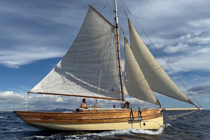 Exclusive walk through the best coves of the Bay of Palma - Price and value: $828.05 for your group (up to 4)
