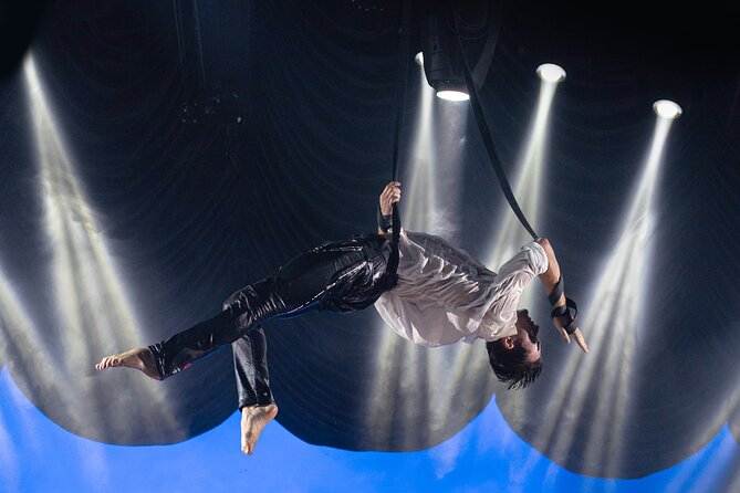 EXHIBIT - Acrobatics, Dance & Art - The Grand Theatre portion: modern variety show done with serious craft