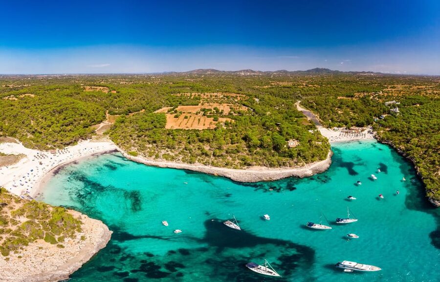 Experinence in Mondrago /S'amarador / Trencada Snorkel y SUP - Key things that make this tour work
