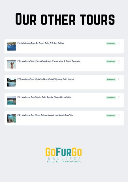 Experinence in Mondrago /S'amarador / Trencada Snorkel y SUP - Who this tour suits best (and who should choose another plan)