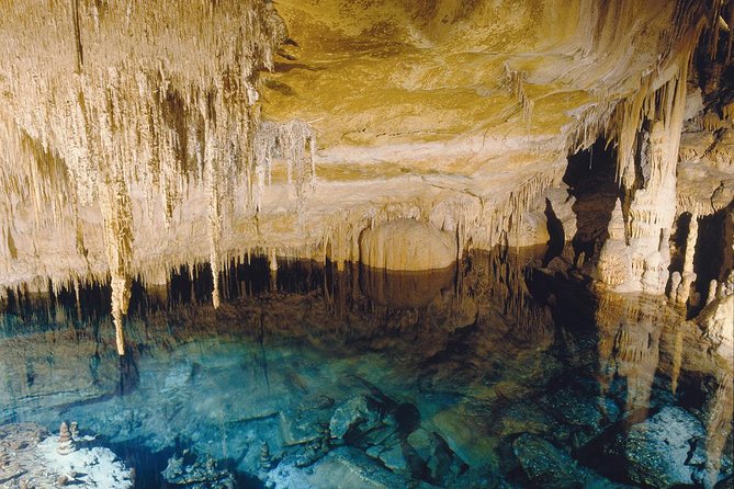 Explore Mallorca: Majorica Pearl Shop and Caves of Drach - Who this tour is best for (and who should reconsider)
