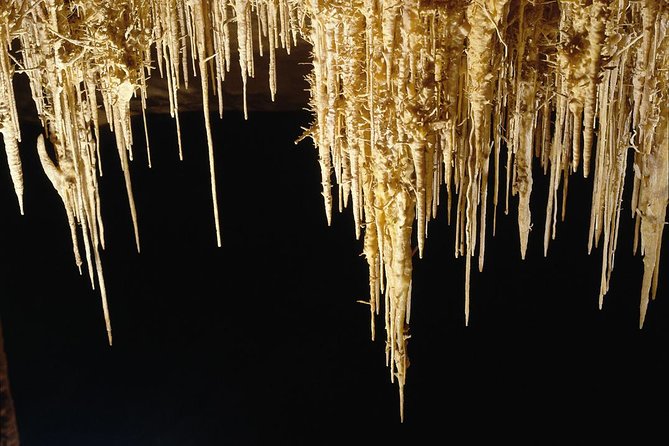 Explore Mallorca: Majorica Pearl Shop and Caves of Drach - Should you book this Mallorca combo of caves and pearls?