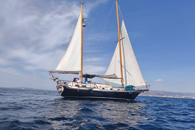 Family Plan and a Day on Board with a Navigating Family - Meeting at Real Club Náutico de Palma: Starting at the Right Dock