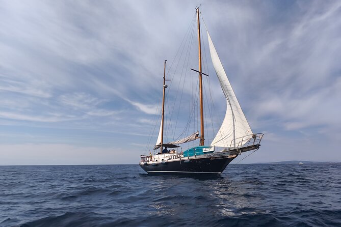 Family Plan and a Day on Board with a Navigating Family - 10:00am Cruise: How the Bay of Palma Looks From Sea Level