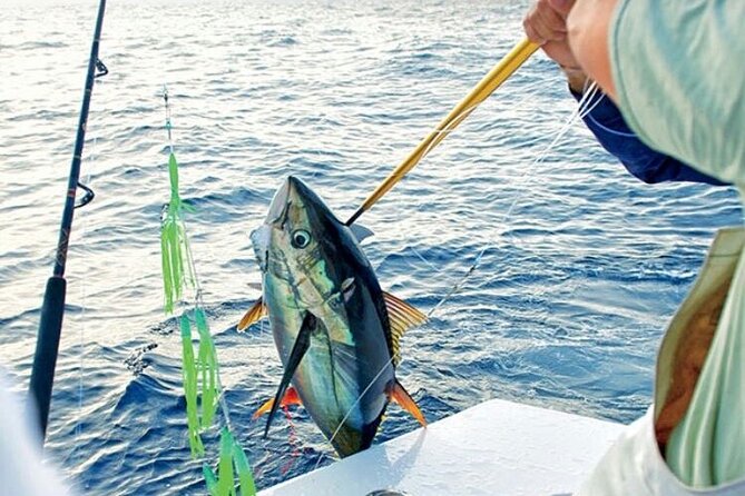 Fishing Trips in Mallorca with Captain Martin - Can Picafort meeting point and what that means for your day