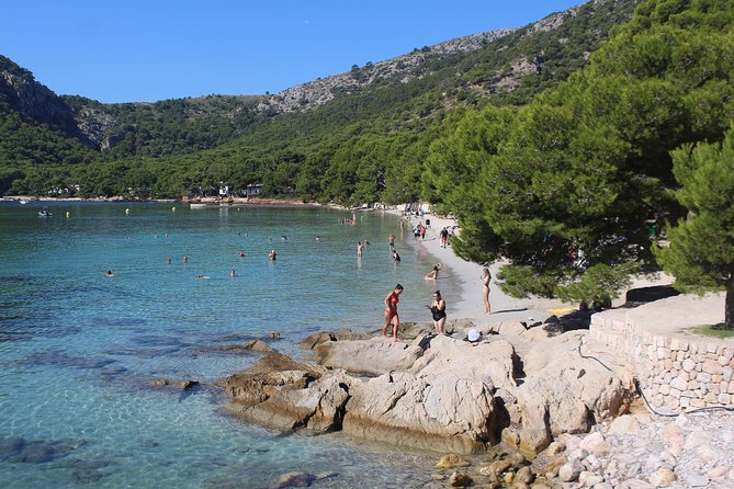 Formentor with boat trip + local market - Key Things I’d Plan Around