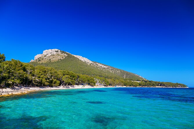 Formentor with boat trip + local market - The Hotel Pickup Rhythm: Easy Start, Busy Day