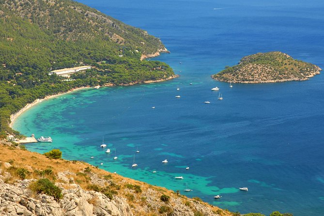 Formentor with boat trip + local market - Formentor Beach: Make It Count With Smart Timing