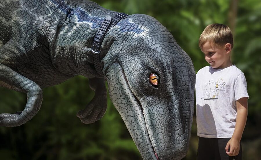 From Alcúdia: Dinosaurland and Hams' Caves Half-Day Trip - Key takeaways before you go