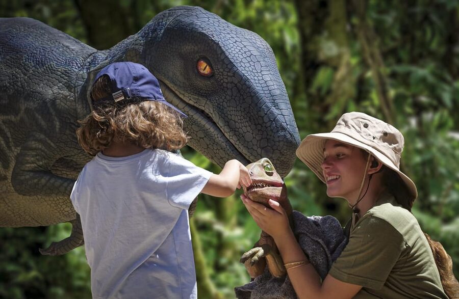 From Alcúdia: Dinosaurland and Hams' Caves Half-Day Trip - Should you book the Alcúdia to Dinosaurland and Caves of Hams half-day trip?