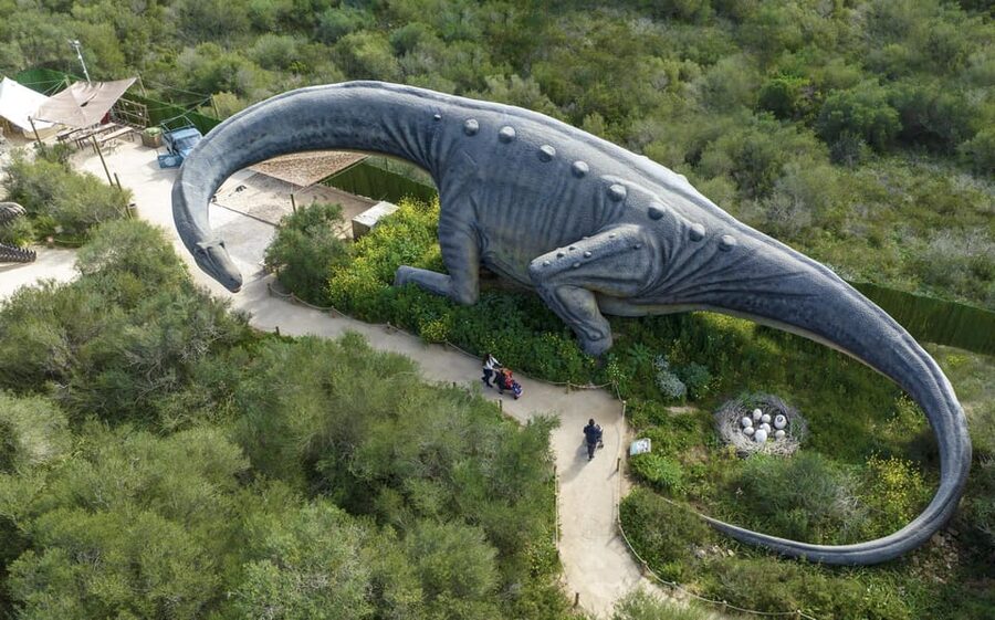 From Alcúdia: Dinosaurland and Hams' Caves Half-Day Trip - Dinosaurs plus caves, all in 5 hours from Alcúdia