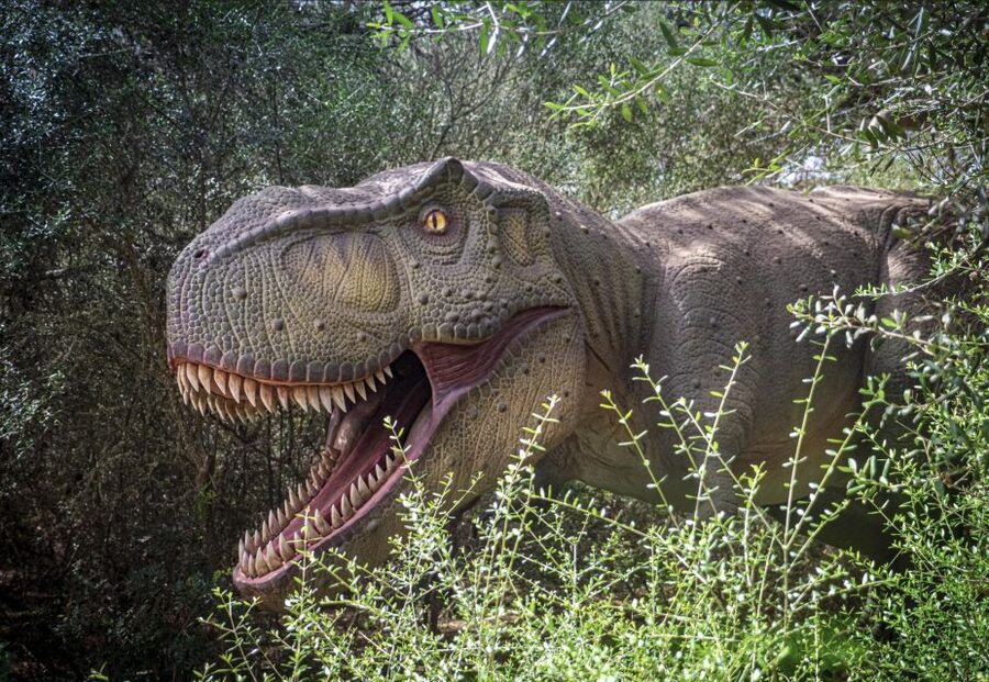 From Alcúdia: Dinosaurland and Hams' Caves Half-Day Trip - Dinosaurland: life-sized animatronics and a real show
