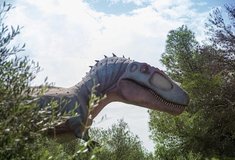 From Alcúdia: Dinosaurland and Hams' Caves Half-Day Trip - Food and comfort: what’s missing, and how to plan around it