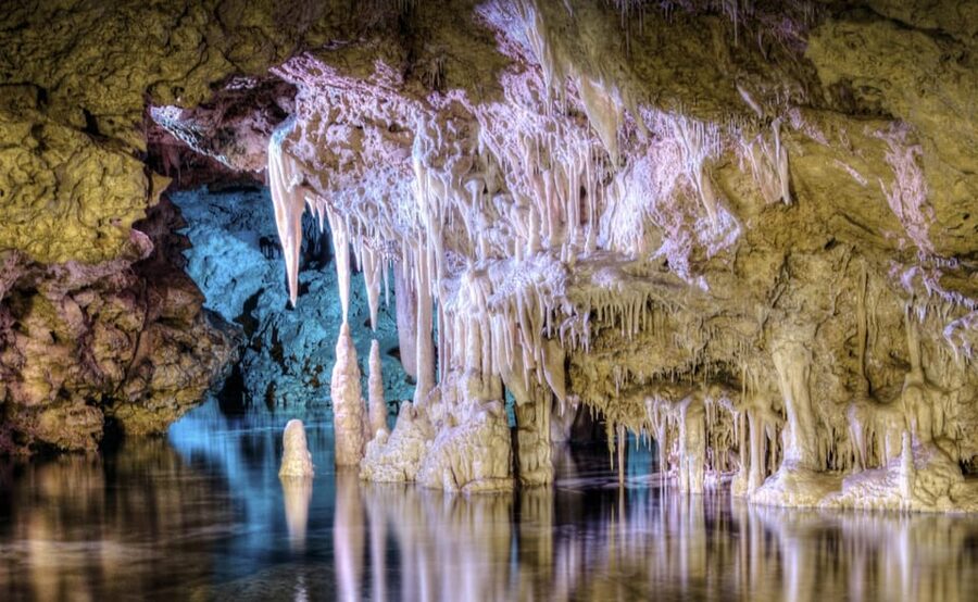 From Alcúdia: Dinosaurland and Hams' Caves Half-Day Trip - Price and value: is $68 fair for bus, skip-the-line, and a guided cave show?