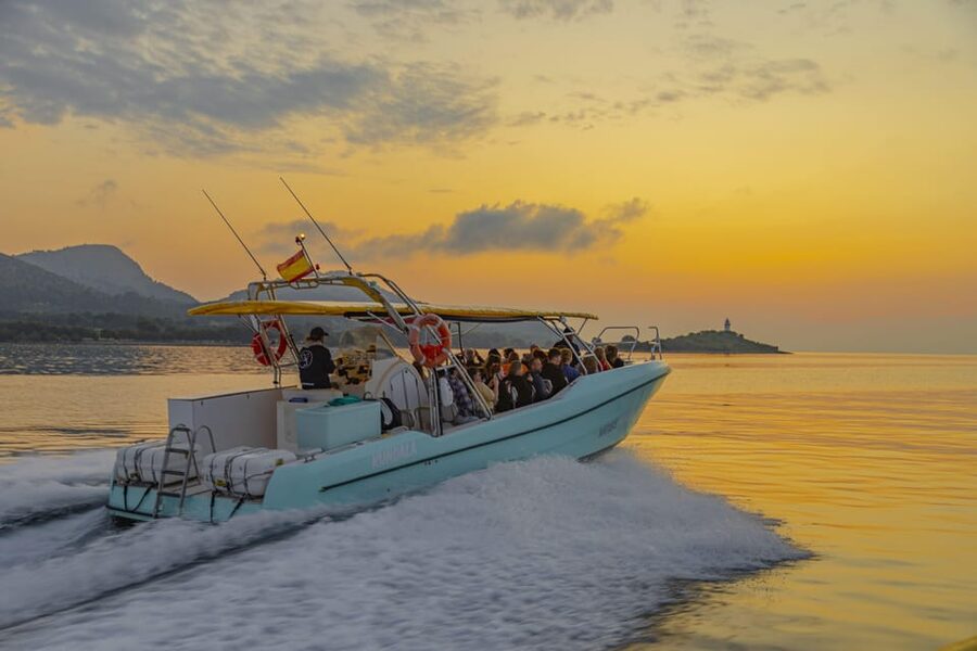 From Alcudia: Sunrise Dolphin Watching Boat Tour - The guide on board: facts, pointers, and respect