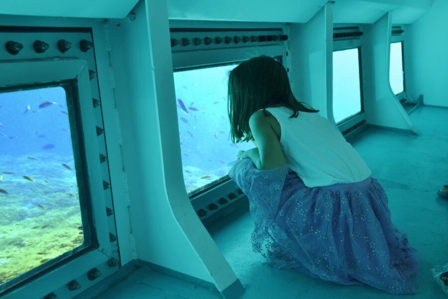 From Cala Bona: East Coast Glass-Bottom Boat Trip - Price and value: is $38 really “worth it” for your priorities?