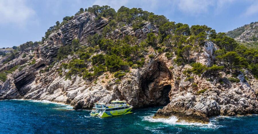 From Cala Ratjada: East Coast Glass-Bottom Boat Trip - Underwater Sights: What You Actually See Through the Glass